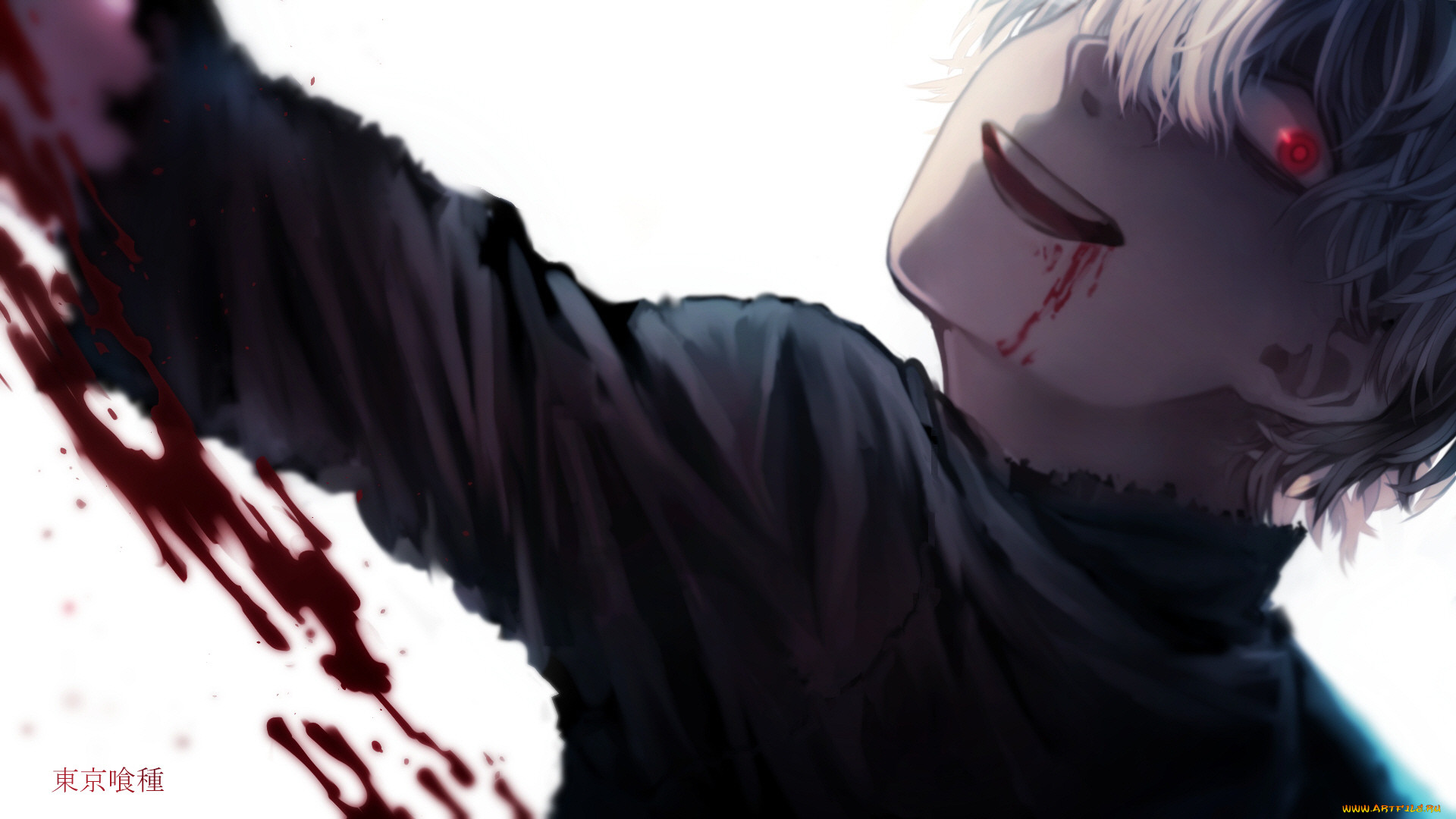 , tokyo ghoul, , 
